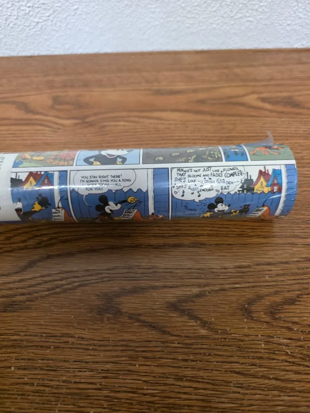 Home Decor Disney Vinyl Wallpaper 32.8 ftx20.5 in-Prepasted, Peelable Scrubbable